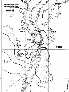 東京湾口海況図(2023/11/17)