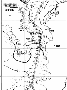 東京湾口海況図(2023/11/20)