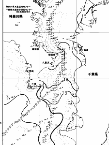 東京湾口海況図(2023/11/27)