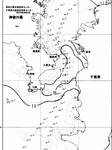 東京湾口海況図(2023/11/29)