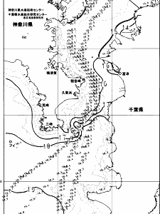 東京湾口海況図(2023/12/07)