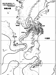 東京湾口海況図(2024/01/24)