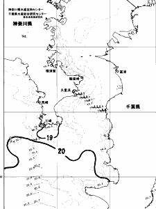 東京湾口海況図(2024/05/24)