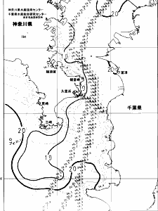 東京湾口海況図(2024/05/28)