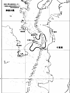 東京湾口海況図(2024/05/31)