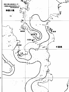 東京湾口海況図(2024/07/03)