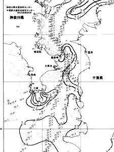 東京湾口海況図(2024/07/06)