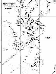 東京湾口海況図(2024/07/08)