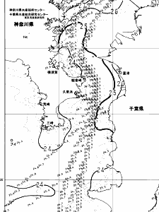 東京湾口海況図(2024/07/09)