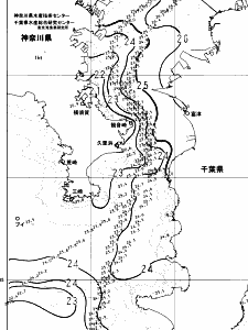 東京湾口海況図(2024/07/11)