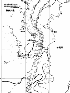 東京湾口海況図(2024/07/17)