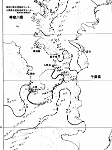 東京湾口海況図(2024/07/24)