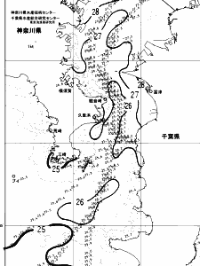 東京湾口海況図(2024/07/25)