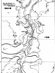 東京湾口海況図(2024/07/26)