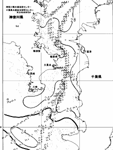 東京湾口海況図(2024/07/27)