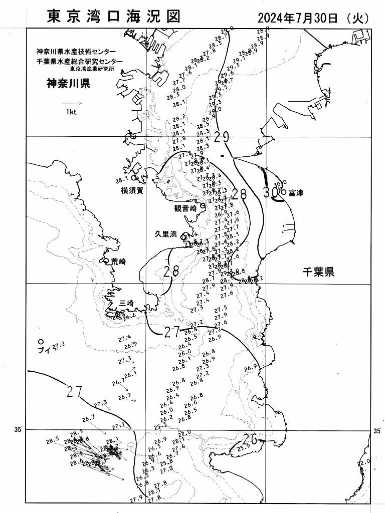 海況図, 東京湾口海況図 検索結果, (水温分布 等を図示)