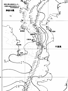 東京湾口海況図(2024/07/31)