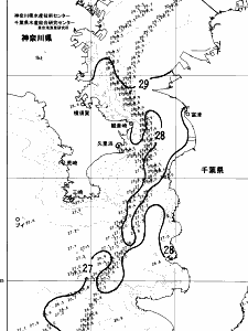 東京湾口海況図(2024/08/01)