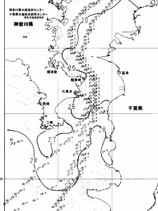 東京湾口海況図(2024/08/03)