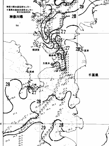 東京湾口海況図(2024/08/07)