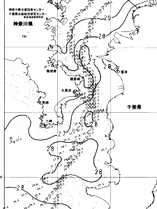 東京湾口海況図(2024/08/08)
