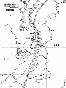 東京湾口海況図(2024/08/11)