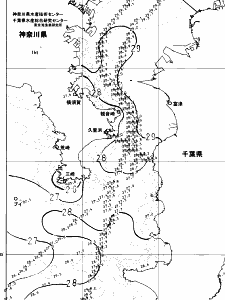 東京湾口海況図(2024/08/12)