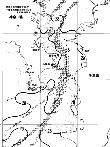 東京湾口海況図(2024/08/14)