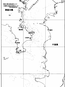 東京湾口海況図(2024/08/17)