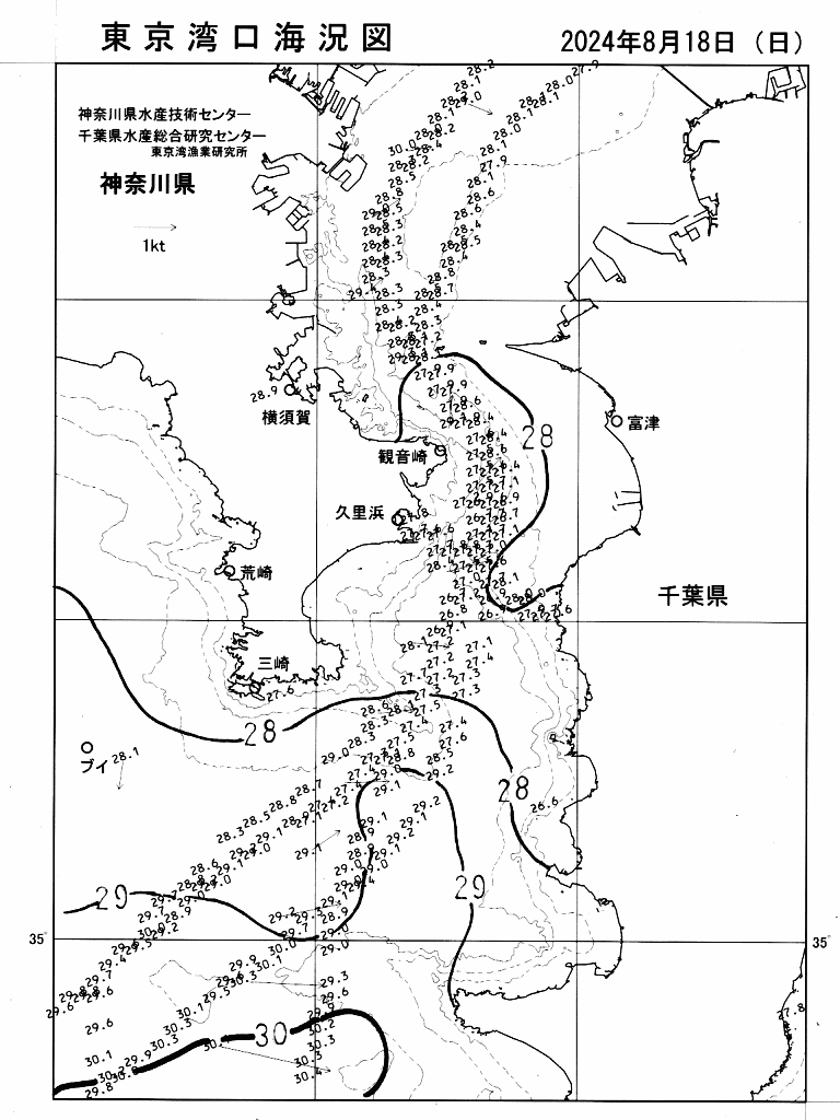 海況図, 東京湾口海況図 検索結果, (水温分布 等を図示)