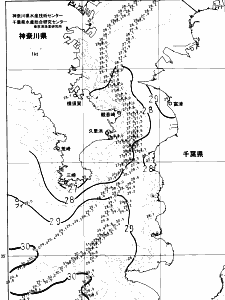 東京湾口海況図(2024/08/19)