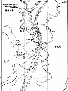 東京湾口海況図(2024/08/20)