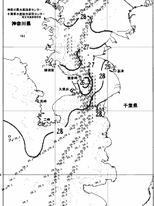 東京湾口海況図(2024/08/21)