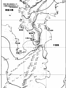 東京湾口海況図(2024/08/22)