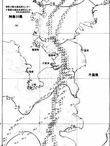 東京湾口海況図(2024/08/24)