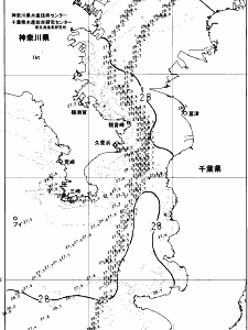 東京湾口海況図(2024/08/29)