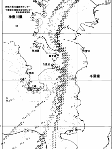 東京湾口海況図(2024/08/30)