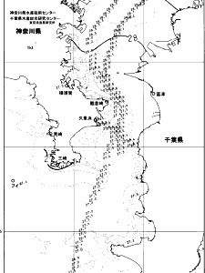 東京湾口海況図(2024/09/01)