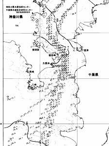 東京湾口海況図(2024/09/03)