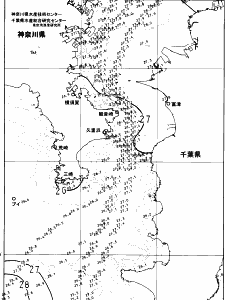 東京湾口海況図(2024/09/04)