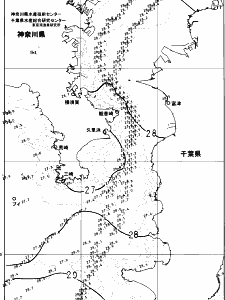 東京湾口海況図(2024/09/11)