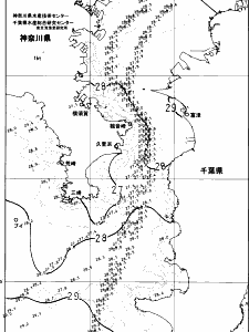 東京湾口海況図(2024/09/12)