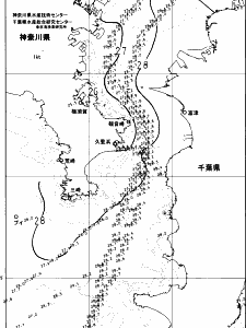 東京湾口海況図(2024/09/14)