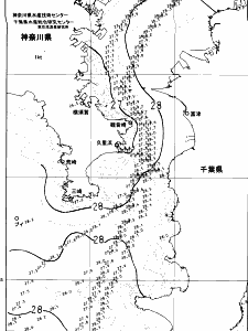 東京湾口海況図(2024/09/16)