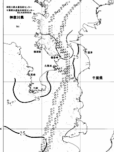 東京湾口海況図(2024/09/24)