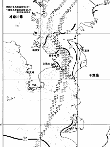 東京湾口海況図(2024/09/25)