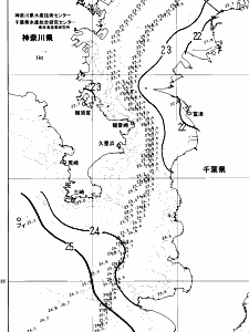 東京湾口海況図(2024/10/09)