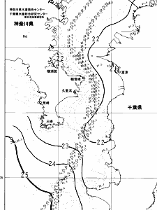 東京湾口海況図(2024/10/10)