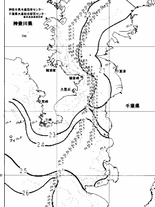 東京湾口海況図(2024/10/11)