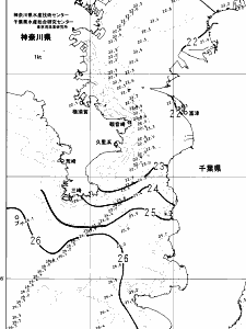 東京湾口海況図(2024/10/16)